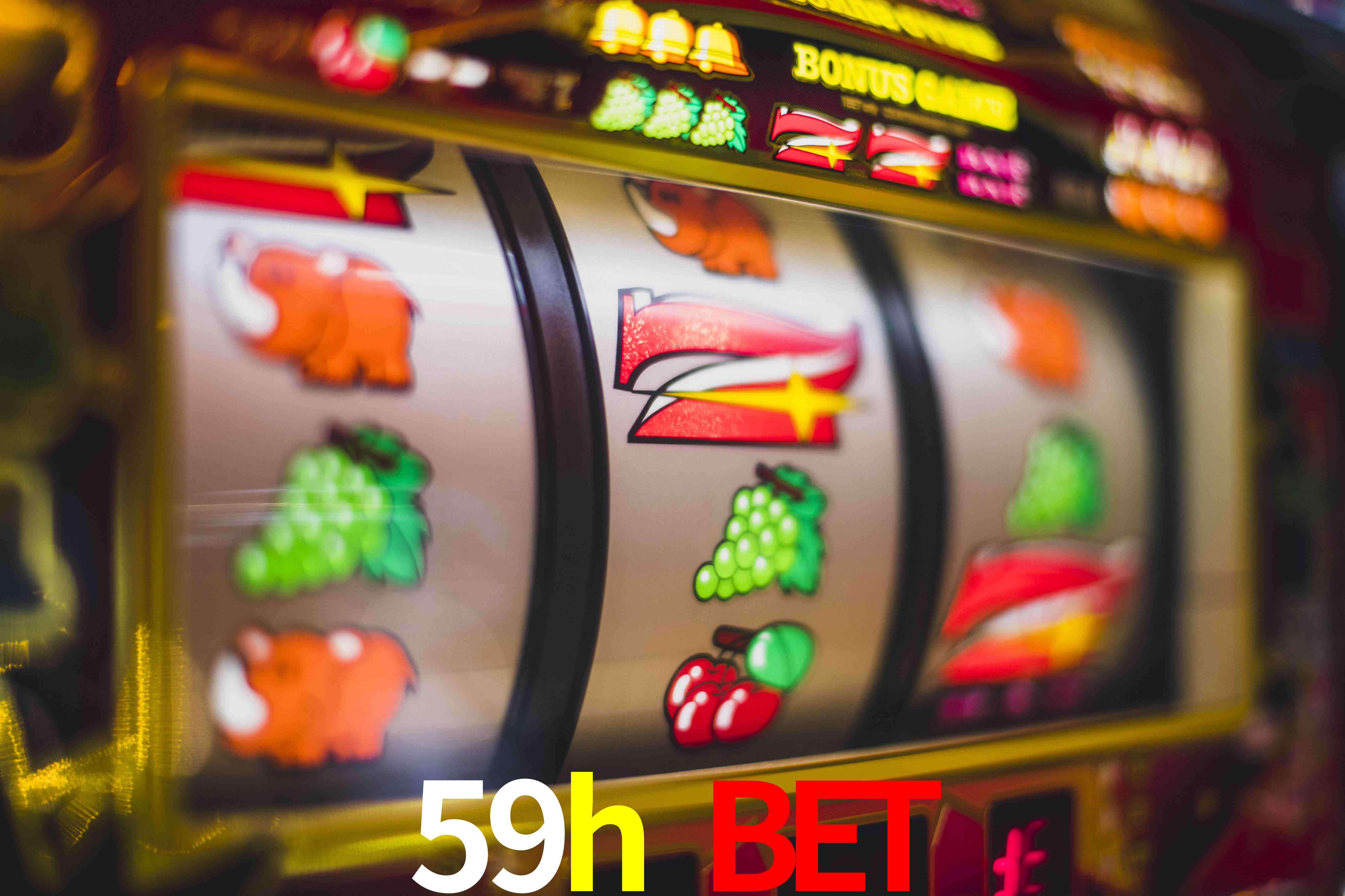 Basketball Betting 59h bet